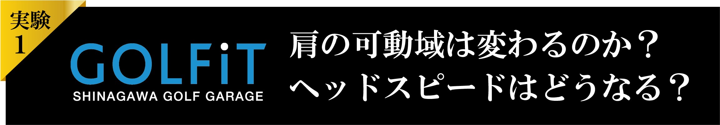 GOLFiT実験
